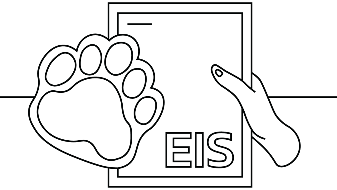 An illustration of a human hand and a bear paw holding a document that says, 'Environmental Impact Statement".